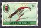 Sierra Leone 1980-82 Birds - Didric Cuckoo 7c (with 1982 imprint date) unmounted mint SG 626B