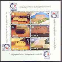 Gairsay 1995 Chinese New Year - Year of the Pig perf sheetlet containing 6 values with Singapore 95 logo in margins, unmounted mint