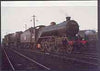 Postcard produced in 1980's in full colour showing L&NER Gresley V4 Class 2-6-2 'Bantam Cock' & Bantam Hen', unused and pristine