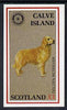 Calve Island 1984 Rotary - Dogs (Golden Retriever) imperf souvenir sheet (£1 value) unmounted mint