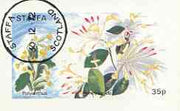 Staffa 1972 Flowers #01 - Polyanthus & Honeysuckle 35p imperf souvenir sheet cto used