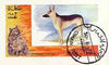 Oman 1972 Cats & Dogs (Alsation & Long Hair) imperf souvenir sheet (2R value) cto used