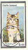 Staffa 1977 Cats (Tabby Kitten) imperf souvenir sheet (£1 value) cto used