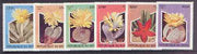 Benin 1997 Cacti complete perf set of 6 values unmounted mint, SG 1659-64