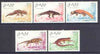 Sahara Republic 1991 Lizards complete perf set of 5 values unmounted mint