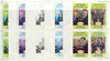 Davaar Island 1986 Royal Wedding perf sheetlet of 4 opt'd Duke & Duchess of York in silver, the set of 5 progressive proofs, comprising single colour, 2-colour, two x 3-colour combinations plus completed design, all with opt. (20 ……Details Below