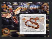 Congo 2002 Snakes perf s/sheet containing single value with Scouts & Guides Logos plus Rotary Logo & Insect in outer margin, unmounted mint