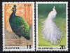 North Korea 1990 Peafowl perf set of 2 unmounted mint, SG N2958-59