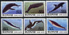 North Korea 1992 Whales & Dolphins complete set of 6 unmounted mint, SG N3208-13*