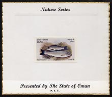 Oman 1972 Fish (Black Finned Trout) imperf (8b value) mounted on special 'Nature Series' presentation card inscribed 'Presented by the State of Oman'