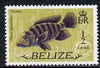 Belize 1974 Mouthbrooder (Crana fish) 1/2c (from def set) unmounted mint SG 362