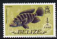 Belize 1974 Mouthbrooder (Crana fish) 1/2c (from def set) unmounted mint SG 362