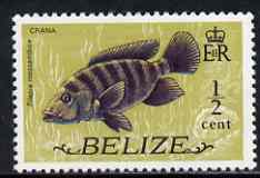 Belize 1974 Mouthbrooder (Crana fish) 1/2c (from def set) unmounted mint SG 362
