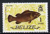 Belize 1974 Spotted Jewfish 1c (from def set) unmounted mint SG 363