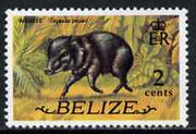 Belize 1974 Peccary 2c (from def set) unmounted mint SG 364