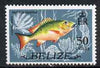 Belize 1974 Mutton Snapper Fish 50c (from def set) unmounted mint SG 371
