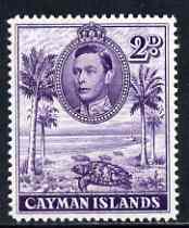 Cayman Islands 1938-48 KG6 Hawksbill Turtles KG6 2d P14 unmounted mint, SG 119a