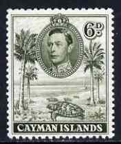 Cayman Islands 1938-48 KG6 Hawksbill Turtles KG6 6d olive-green P11.5x13 unmounted mint, SG 122