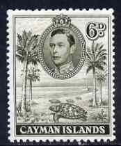 Cayman Islands 1938-48 KG6 Hawksbill Turtles KG6 6d brownish olive P11.5x13 unmounted mint, SG 122b