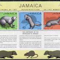 Jamaica 1973 Centenary of Introduction of the Mongoose perf m/sheet unmounted mint, SG MS368