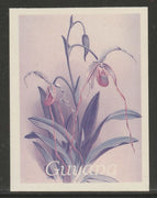 Guyana 1985-89 Orchids Series 2 plate 16 (Sanders' Reichenbachia) unmounted mint imperf progressive proof in blue & red only