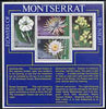 Montserrat 1977 Flowers of the Night perf m/sheet unmounted mint, SG MS403