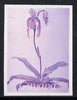 Guyana 1985-89 Orchids Series 2 plate 31 (Sanders' Reichenbachia) unmounted mint imperf progressive proof in blue & red only