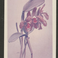 Guyana 1985-89 Orchids Series 2 plate 36 (Sanders' Reichenbachia) unmounted mint imperf progressive proof in blue & red only