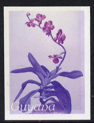 Guyana 1985-89 Orchids Series 2 plate 96 (Sanders' Reichenbachia) unmounted mint imperf progressive proof in blue & red only