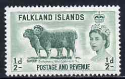 Falkland Islands 1957 Sheep 1/2d unmounted mint, SG 187