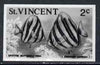 St Vincent 1975 Butterflyfish 2c stamp size Black & white photographic proof similar to issued stamp but with thicker lettering and without imprint, as SG 423