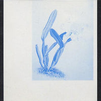 Guyana 1985-89 Orchids Series 2 plate 74 (Sanders' Reichenbachia) unmounted mint imperf progressive proof in blue only