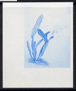 Guyana 1985-89 Orchids Series 2 plate 74 (Sanders' Reichenbachia) unmounted mint imperf progressive proof in blue only