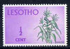 Lesotho 1971 Maize 1/2c from def set unmounted mint, SG 191*