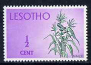 Lesotho 1971 Maize 1/2c from def set unmounted mint, SG 191*