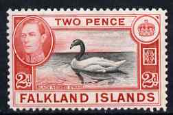 Falkland Islands 1938-50 KG6 Black-necked Swan 2d unmounted mint, SG 150