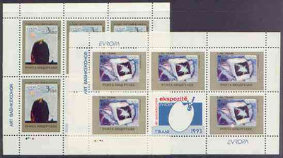 Albania 1993 Europa - Contemporary Art perf set of 2 each in sheetlets of 5 plus label unmounted mint, SG 2562-63