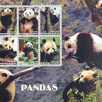 Benin 2002 Pandas special large perf sheet containing 6 values unmounted mint