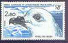 French Southern & Antarctic Territories 1985 Snow Petrel 2f80 from Wildlife set unmounted mint, SG 197