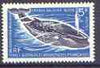 French Southern & Antarctic Territories 1962-72 Blue Whale 5f unmounted mint, from def set, SG 26