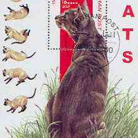 Afghanistan 2000 Domestic Cats (Oriental Shorthair) perf m/sheet cto used