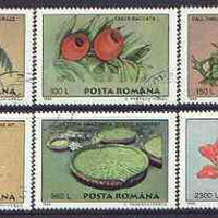 Rumania 1995 Plants from Bucharest Botanical Gardens perf set of 6 fine cto used, SG 5771-76