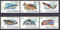 Rumania 1992 Fish perf set of 6 fine cto used, SG 5424-29*