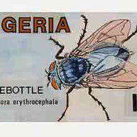 Nigeria 1986 Insects - original hand-painted artwork for 10k value (Bluebottle) by NSP&MCo Staff Artist Hilda T Woods on card 8.5" x 5"