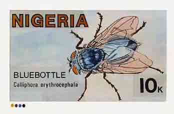 Nigeria 1986 Insects - original hand-painted artwork for 10k value (Bluebottle) by NSP&MCo Staff Artist Hilda T Woods on card 8.5