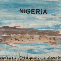 Nigeria 1991 Fishes - original hand-painted artwork for 10k value (Catfish) by Remi Adeyemi similar to issued stamp on card 8.5" x 5"