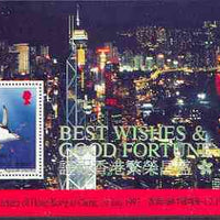 Falkland Islands Dependencies - South Georgia 1997 Return of Hong Kong to China perf m/sheet (Penguin feeding on Krill) unmounted mint, SG MS269