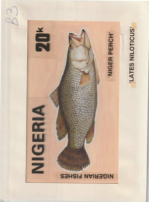 Nigeria 1991 Fishes - original hand-painted artwork for 20k value (Niger Perch) by unknown artist on card 8.5
