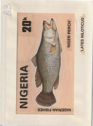 Nigeria 1991 Fishes - original hand-painted artwork for 20k value (Niger Perch) by unknown artist on card 8.5" x 5" endorsed B3