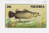 Nigeria 1991 Fishes - original hand-painted artwork for 20k value (Niger Perch) by unknown artist on card 8.5" x 5" endorsed B5